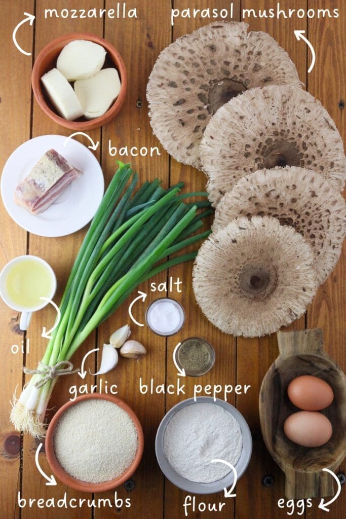 Mise en place or ingredients lined up for fried parasol mushroom rolls: four parasol mushrooms, smoked bacon, young onion, mozzarella, oil, smoked bacon, eggs, flour, breadcrumbs, three garlic cloves, black pepper and salt.